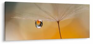 Kép - Makró virág (120x50 cm)