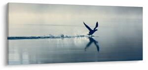 Kép - Búvár (120x50 cm)