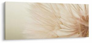 Kép - Virág részletek (120x50 cm)