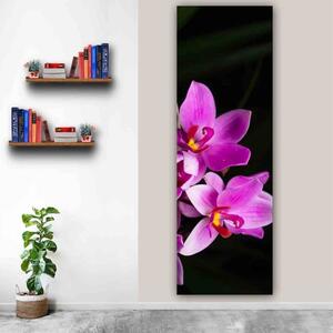 100x40cm Rózsaszín orchidea virágok függőleges vászonkép