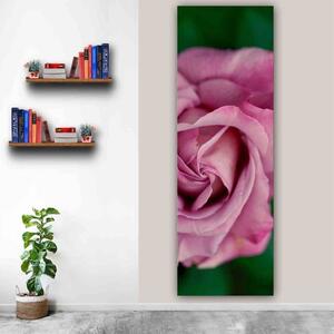 100x40cm Rózsa közelről függőleges vászonkép