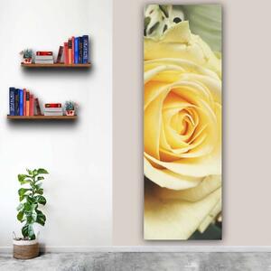 100x40cm Rózsa makro függőleges vászonkép