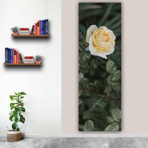 100x40cm Egyszerű és szép rózsa függőleges vászonkép
