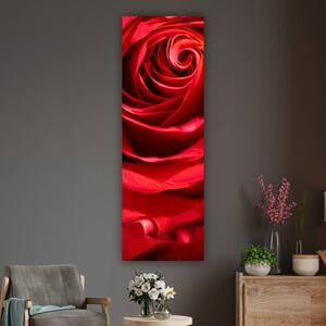 100x40cm Festett vörös rózsa függőleges vászonkép