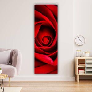 100x40cm Vörös rózsa szirmok függőleges vászonkép