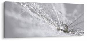 Kép - Egy csepp víz (120x50 cm)