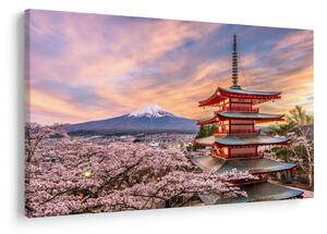 Kép - Fuji, Japán (90x60 cm)