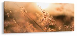 Kép - Fű a napon (120x50 cm)