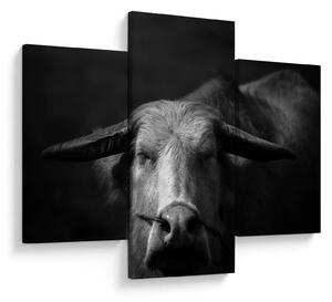 Kép - Tehén (90x60 cm)