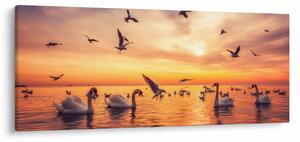 Kép - Hattyúk (120x50 cm)