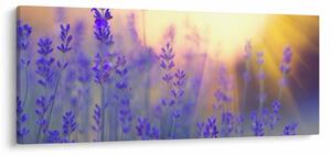 Kép - Levendula (120x50 cm)