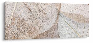 Kép - Bézs levelek (120x50 cm)