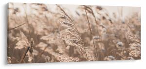 Kép - Réti szellő (120x50 cm)