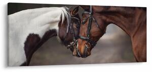Kép - Szerelmes lovak (120x50 cm)