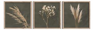Kép szett 3 db-os 30x30 cm Pampas – Styler