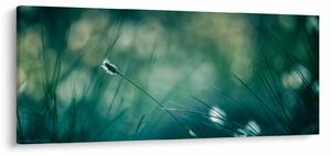 Kép - A fű részlete (120x50 cm)