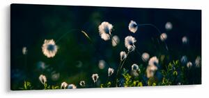 Kép - Fű (120x50 cm)
