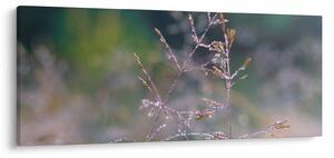 Kép - Fű részlet (120x50 cm)