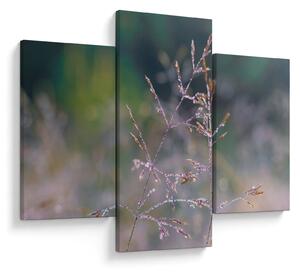 Kép - Fű részlet (90x60 cm)