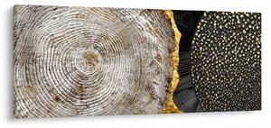 Kép - Fatörzs a kollázsban 2 (120x50 cm)