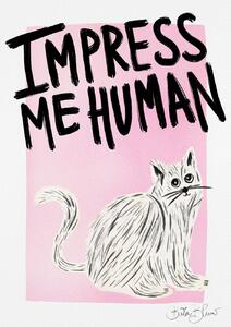 Illusztráció Cat Owner - Impress Me Human, Baroo Bloom, (30 x 40 cm)