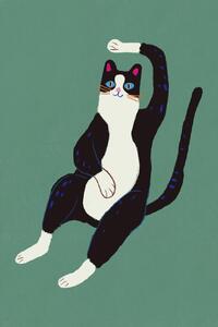 Illusztráció Black and white cat, Little Dean, (26.7 x 40 cm)