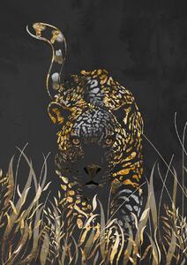 Illusztráció Black gold jaguar in grass, Sarah Manovski, (30 x 40 cm)