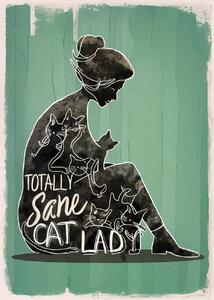 Illusztráció Totally Sane Cat Lady, Andreas Magnusson, (30 x 40 cm)