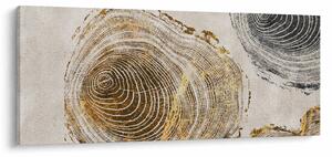 Kép - Törzsek absztrakciója (120x50 cm)
