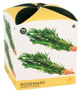 Arome Rosemary illatgyertya üvegben, 90 g