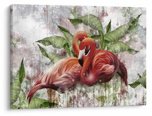 Kép - Flamingók (70x50 cm)