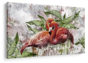 Kép - Flamingók (90x60 cm)