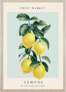 Levitaiting lemons kép