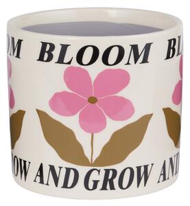 BLOOM & GROW kaspó Ø16cm