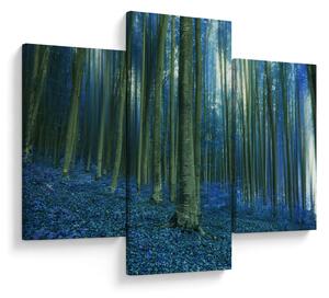 Kép - Kék erdő (90x60 cm)