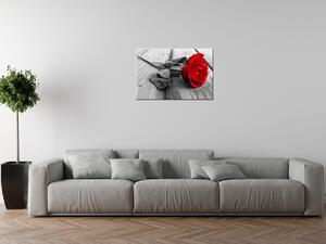 Gario Vászonkép Vörös Rózsa Méret: 60 x 40 cm