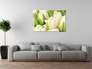 Gario Vászonkép Gyengéd tulipánok Méret: 40 x 60 cm