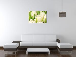 Gario Vászonkép Gyengéd tulipánok Méret: 60 x 40 cm