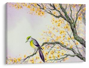 Kép - Akvarell madár a fán (70x50 cm)