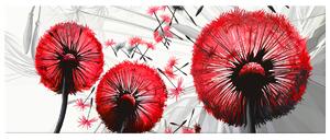 Gario Vászonkép Gyönyöru piros pitypangok Méret: 40 x 60 cm