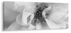 Kép - Virág, fekete-fehér (120x50 cm)