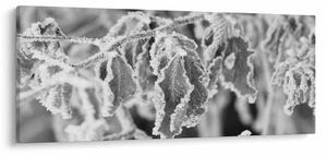 Kép - Fagyott levelek, fekete-fehér (120x50 cm)