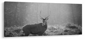 Kép - Szarvas az erdőben, fekete-fehér (120x50 cm)