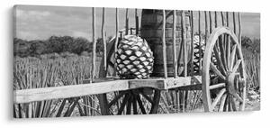Kép - Utánfutó, fekete-fehér (120x50 cm)