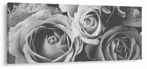 Kép - Rózsa, fekete-fehér (120x50 cm)