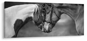 Kép - Szerelmes lovak, fekete-fehér (120x50 cm)
