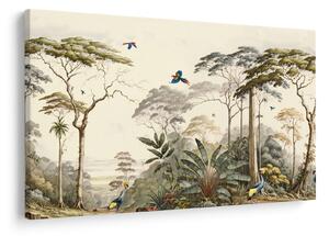 Kép - Amazonas esőerdő (90x60 cm)