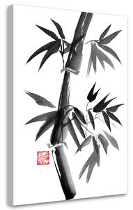 Gario Vászonkép Szép fekete-fehér bambusz - Péchane Méret: 40 x 60 cm