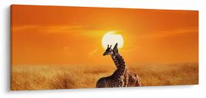 Kép - Zsiráfok a Serengeti Nemzeti Parkban (120x50 cm)
