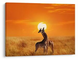 Kép - Zsiráfok a Serengeti Nemzeti Parkban (70x50 cm)